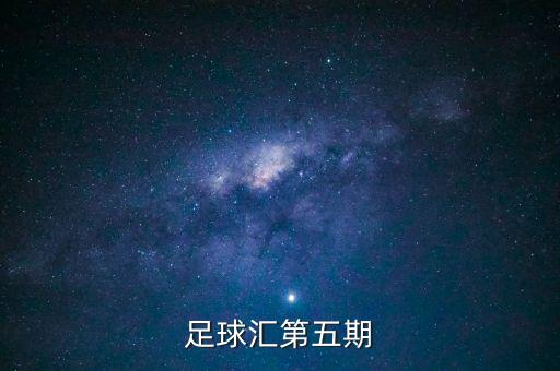 明星足球匯第五期