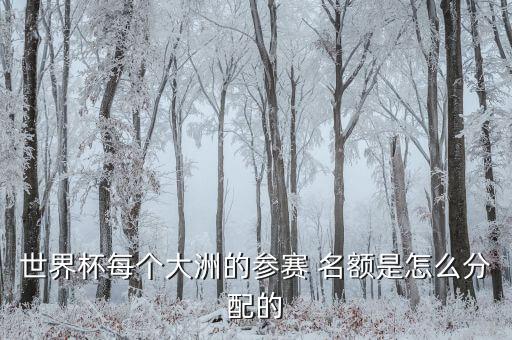 世界杯每個(gè)大洲的參賽 名額是怎么分配的