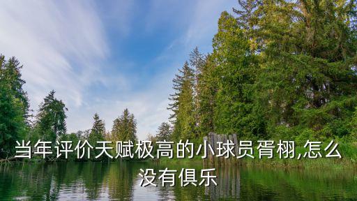 當(dāng)年評(píng)價(jià)天賦極高的小球員胥栩,怎么沒有俱樂