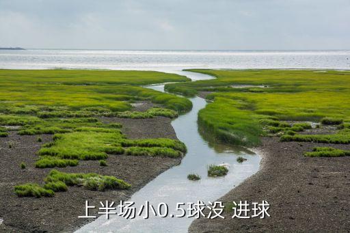 上半場(chǎng)小0.5球沒(méi) 進(jìn)球