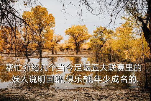意大利足球運(yùn)動(dòng)員妖人