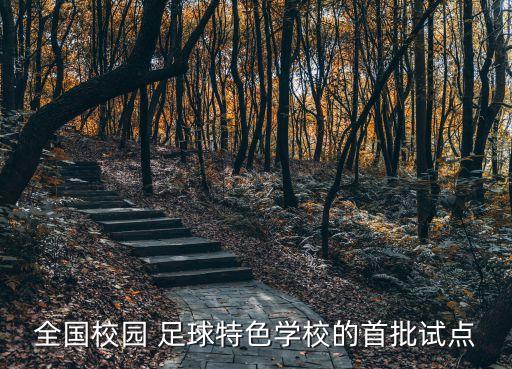 全國校園 足球特色學(xué)校的首批試點(diǎn)