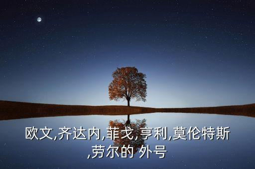 歐文,齊達(dá)內(nèi),菲戈,亨利,莫倫特斯,勞爾的 外號