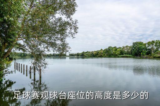 足球賽觀球臺座位的高度是多少的