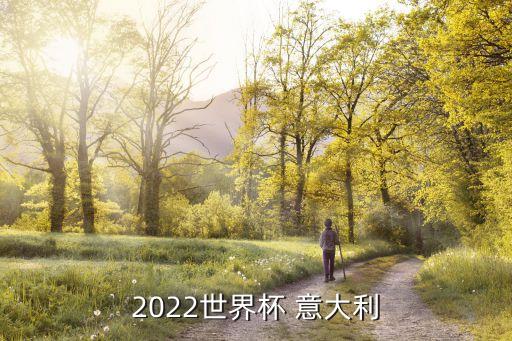 2022世界杯 意大利