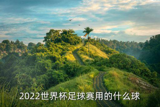 中國足球隊傳統(tǒng)顏色