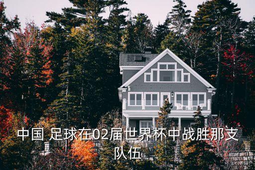 中國(guó) 足球在02屆世界杯中戰(zhàn)勝那支隊(duì)伍