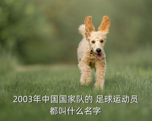 2003年中國國家隊的 足球運(yùn)動員都叫什么名字