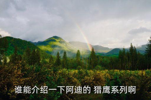 山西獵鷹兄弟足球法人