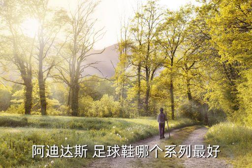 阿迪達(dá)斯 足球鞋哪個(gè)系列最好