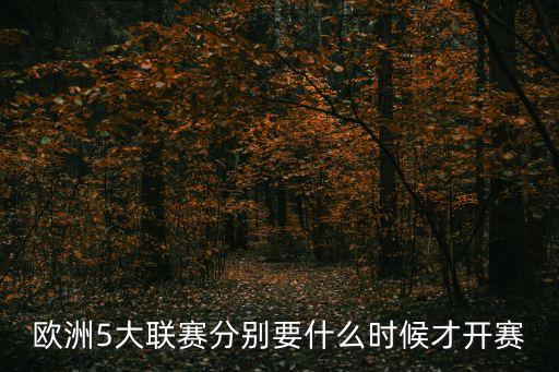 歐洲5大聯(lián)賽分別要什么時候才開賽
