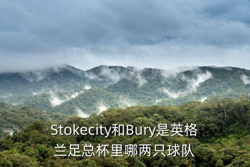 Stokecity和Bury是英格蘭足總杯里哪兩只球隊(duì)