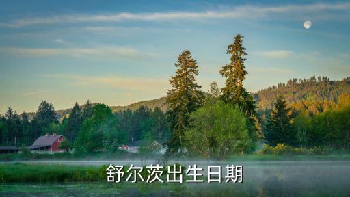 舒爾茨出生日期