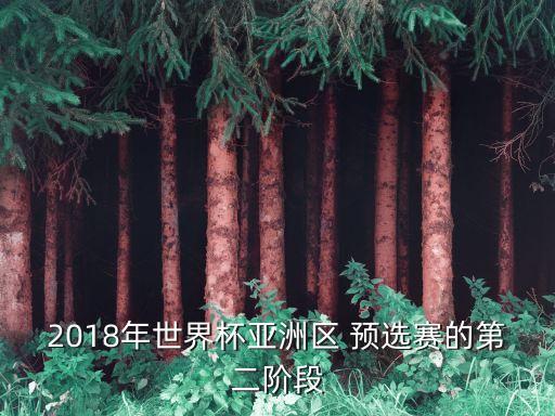 2018年世界杯亞洲區(qū) 預(yù)選賽的第二階段