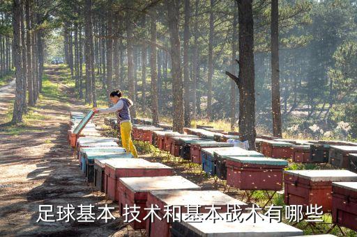 足球比賽技術臺