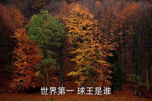 世界第一 球王是誰