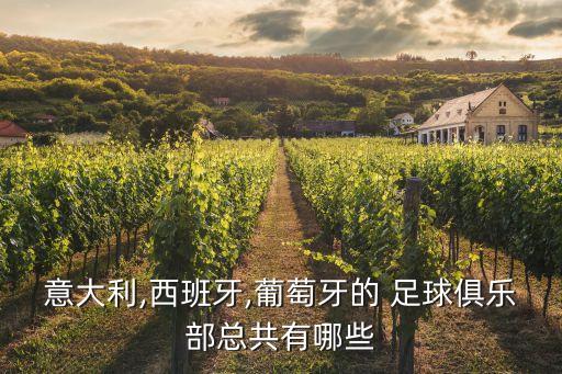 意大利,西班牙,葡萄牙的 足球俱樂(lè)部總共有哪些