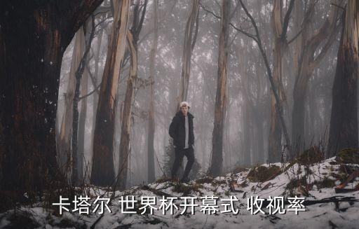 足球世界杯收視率