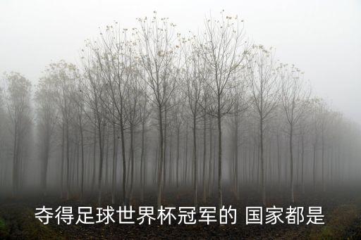 奪得足球世界杯冠軍的 國家都是