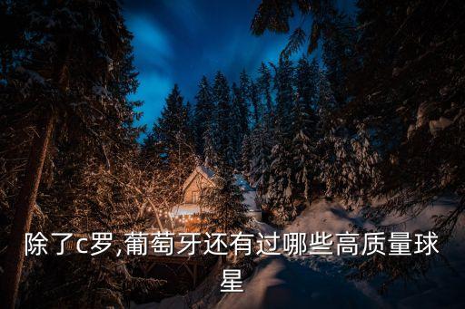 除了c羅,葡萄牙還有過(guò)哪些高質(zhì)量球星