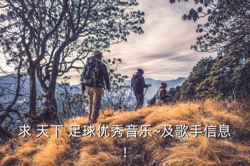 求 天下 足球優(yōu)秀音樂~及歌手信息!
