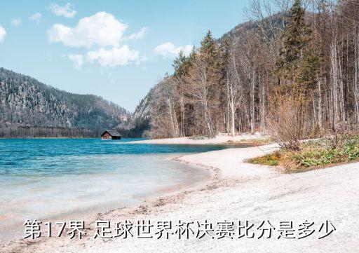 第17界 足球世界杯決賽比分是多少
