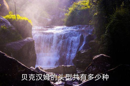 歐美足球發(fā)型圖片大全圖片欣賞,歐美長發(fā)卷發(fā)發(fā)型圖片大全