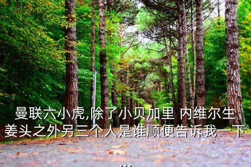 足球大師 菲爾內(nèi)維爾,菲爾內(nèi)維爾為什么去埃弗頓