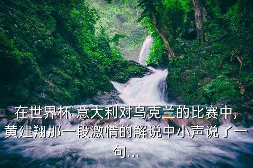 在世界杯 意大利對烏克蘭的比賽中,黃建翔那一段激情的解說中小聲說了一句...