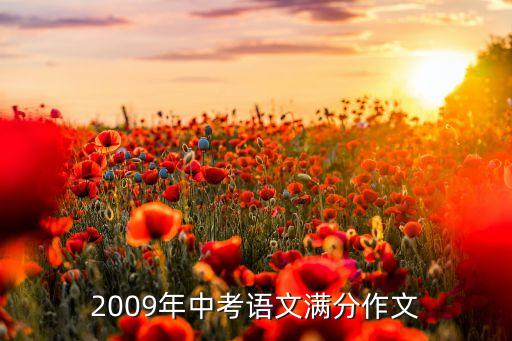 2009年中考語文滿分作文