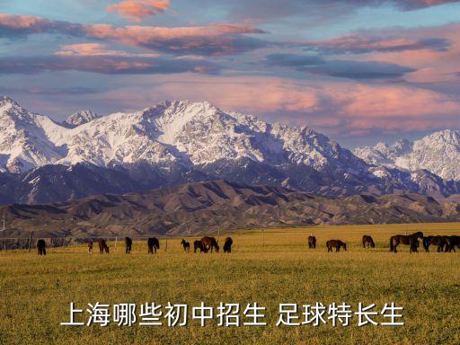 上海校園足球聯(lián)盟學校,2022上海市校園足球聯(lián)盟聯(lián)賽