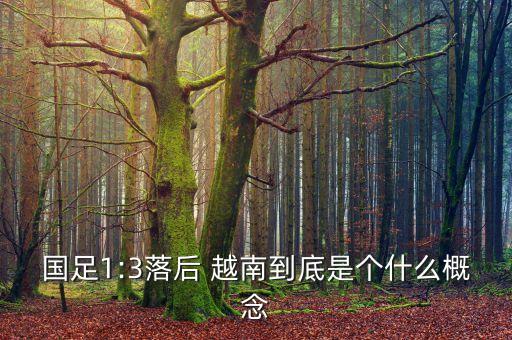 中國越南足球交鋒歷史,印度尼西亞vs越南足球歷史比分