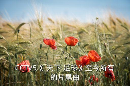 CCTV5《 天下 足球》至今所有的片尾曲