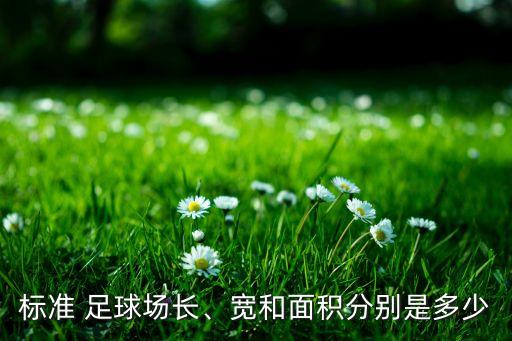 標準 足球場(chǎng)長(cháng)、寬和面積分別是多少