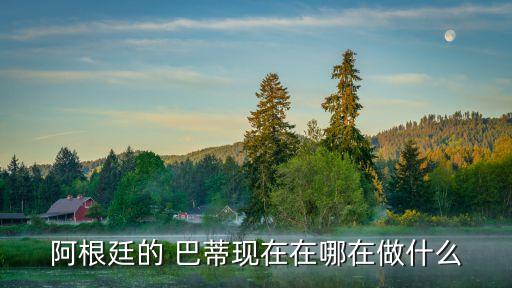 加州巴蒂足球,足球壞小子巴蒂TXT