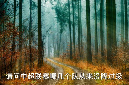 華夏辛福足球隊梯隊