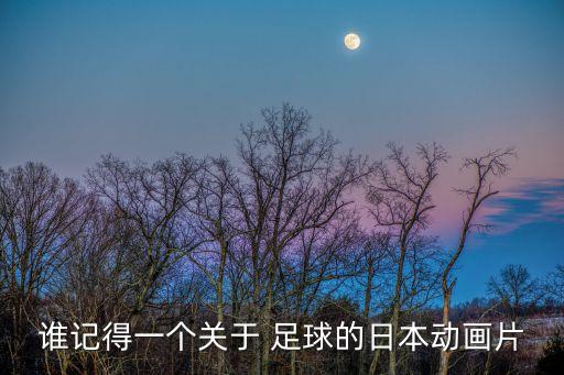 誰(shuí)記得一個(gè)關(guān)于 足球的日本動(dòng)畫(huà)片