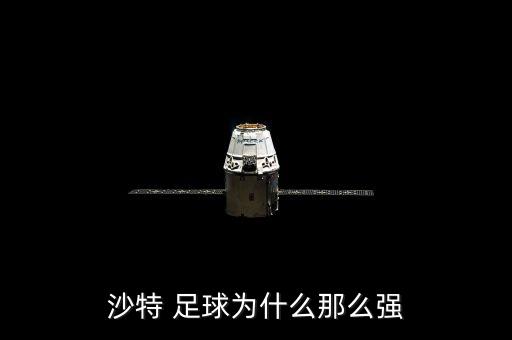 沙地阿拉伯對挨及足球誰贏