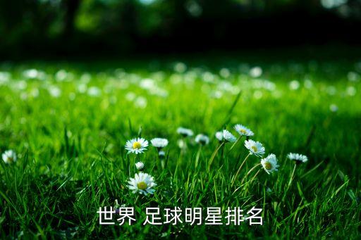 著名的足球球星有哪些,法國歷史著名足球球星