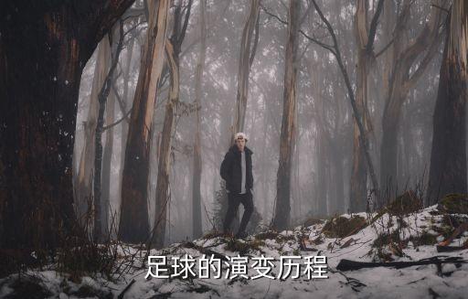  足球的演變歷程