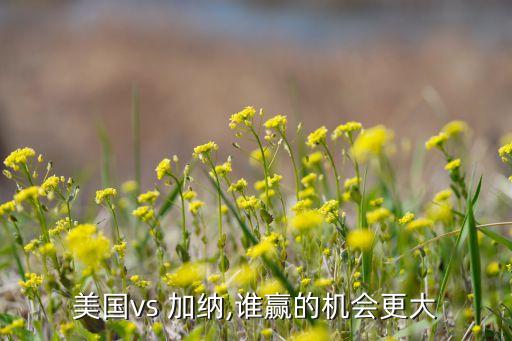 加納足球金森,加納和韓國(guó)足球哪個(gè)厲害