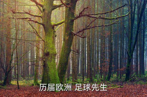 足球歷年世界足球先生,歷年世界足球先生得主名單