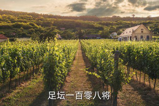 足壇一百零八將