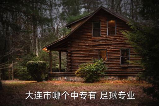大連足球學校報名,山東魯能足球學校怎么報名