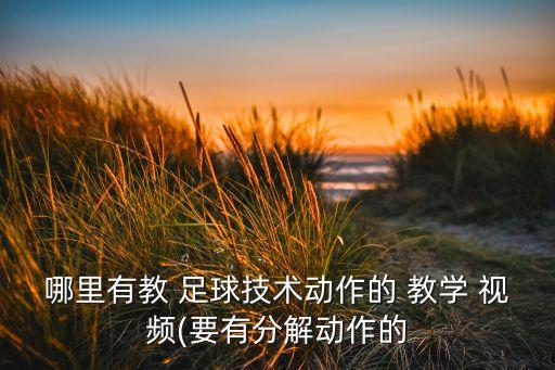 哪里有教 足球技術(shù)動(dòng)作的 教學(xué) 視頻(要有分解動(dòng)作的