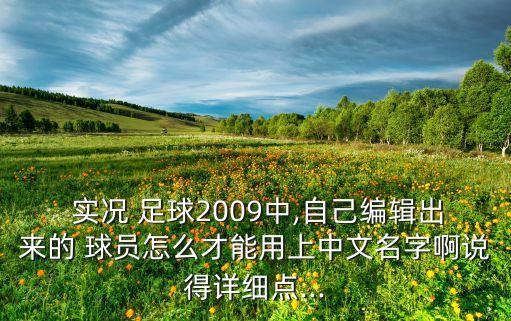 實況足球9球員名漢化補丁怎么用