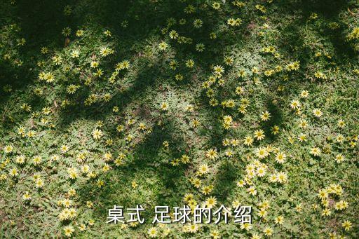80年代足球游戲,90年代日本足球游戲J聯(lián)賽
