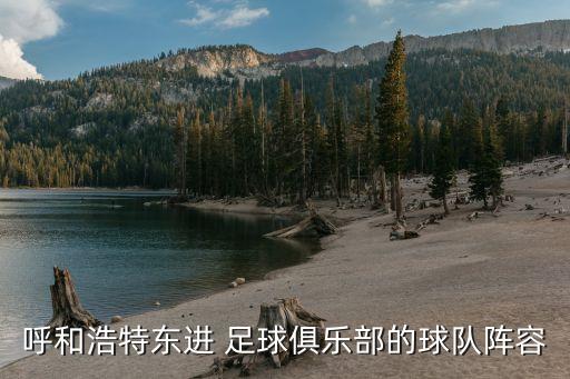 劉文慶 足球,視覺傳達(dá)設(shè)計劉文慶