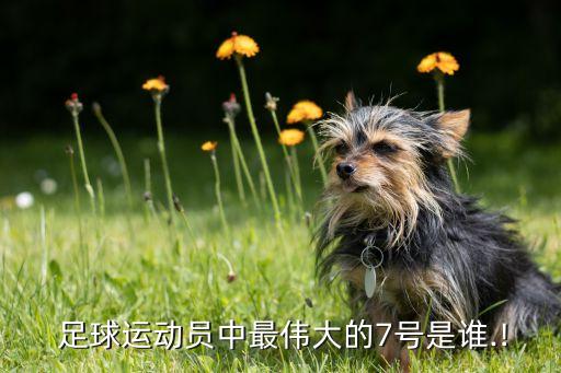 拜仁七號足球明星,名字七個字的足球明星