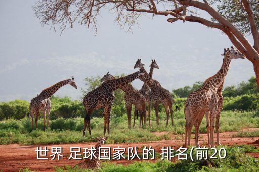 世界 足球國家隊的 排名(前20